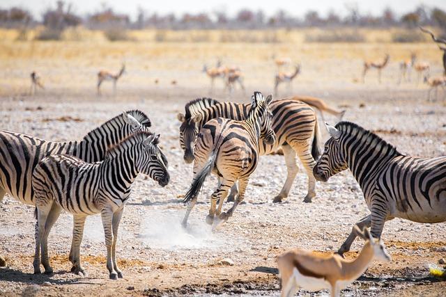 Namibia’s First Female President Pledges Economic Diversification and Job Creation – africa.com