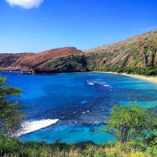I visited Costco in Hawaii. It was different from other US locations — and a surprising highlight of my vacation. – Business Insider Africa