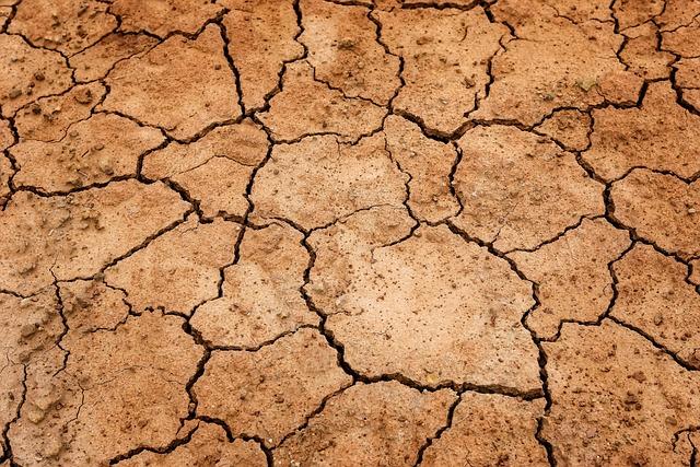 ‘Levels are dropping’: drought saps Zambia and Zimbabwe of hydropower – The Guardian