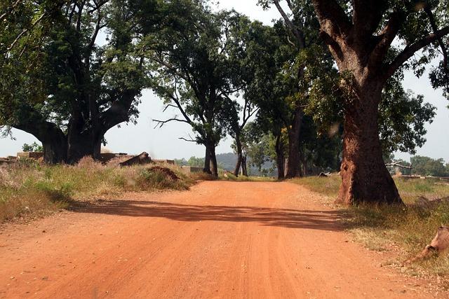 Burkina Faso Outlines AI Progress, Unveils Plan to Become West Africa’s Innovation Hub – We Are Tech