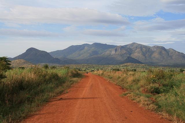 Uganda: the quiet power in the eastern DRC conflict – RFI English