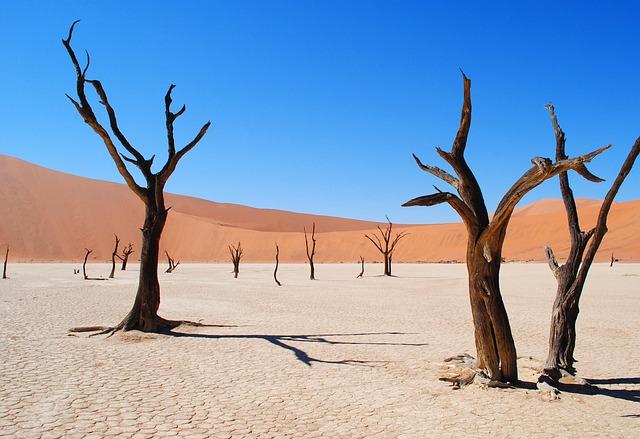 In historic first, Namibia’s women ascend to top three leadership seats – The East African