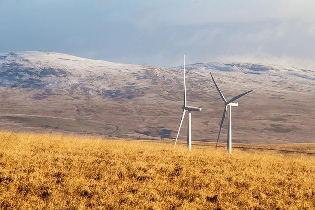 Payhippo Rebrands as Rivy, Secures $4M Pre-Series A to Drive Clean Energy Access – https://www.techafricanews.com/
