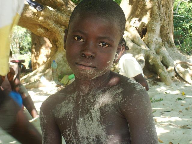 Guinea-Bissau's Political Landscape: Understanding the Origins of the institutional Crisis