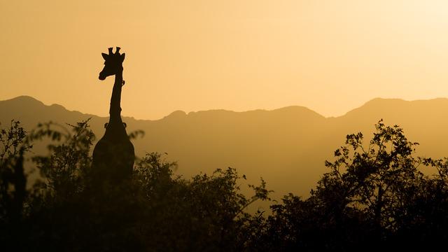 Exploring the Agricultural landscape of Africa's Largest Nations