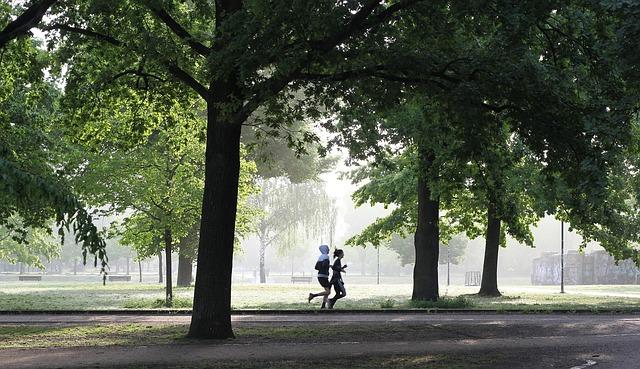 Challenges Faced During the Run: Navigating Borders and Terrain