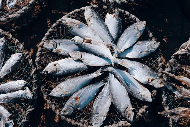 Future Prospects for Sustainable Aquaculture in the Region