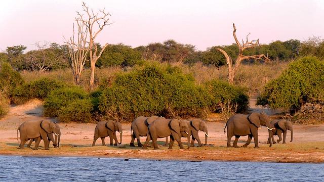 In Botswana’s Election, diamond Profits Are a Defining Issue - The New⁤ York Times