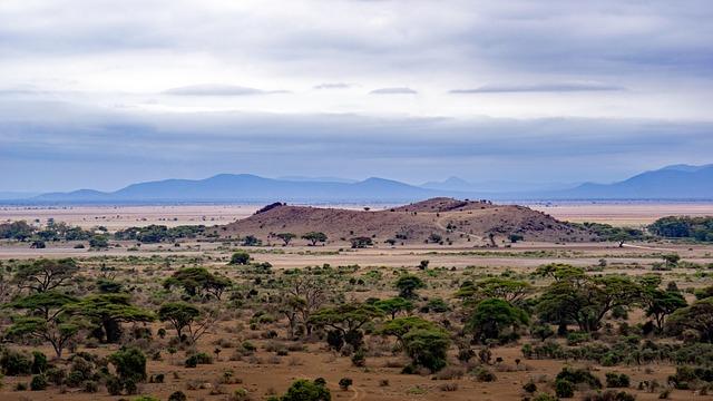 Future Prospects for Tourism and Business Growth in Arusha