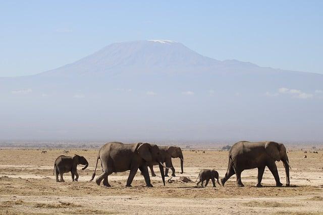 Kenya's Journey to the Ice: A Historic Milestone in Sports