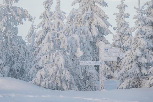 Rare Meteorological Phenomenon: ⁣Understanding Snowfall in the Sahara ​desert