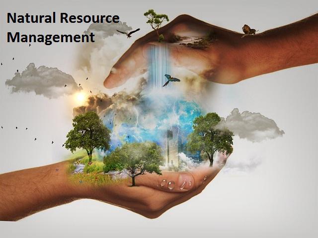 Natural Resource Management: Balancing Wealth and Sustainability