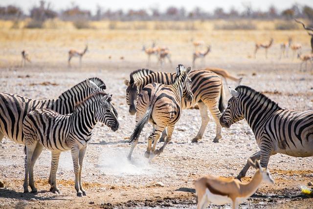 Impact on Biodiversity and⁤ Ecosystem Health Due⁣ to Mass ⁣Culling in Namibia