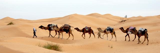 Exploring tunisia's Rich cultural Heritage and Historical Landmarks