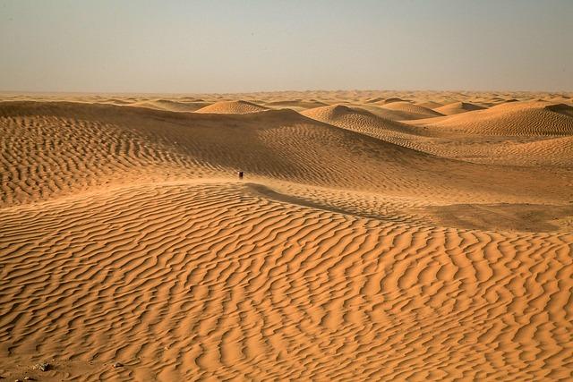 The Emerging Innovation Landscape in Tunisia