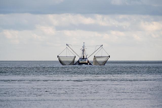 Addressing Inhumane Conditions on fishing Vessels: Key Findings from the Summit