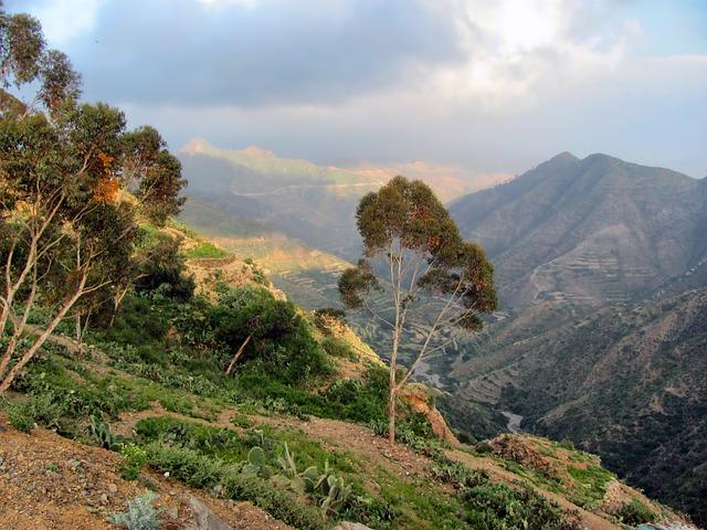 Eritrea's Natural Resources: A ⁤Rich Tapestry for Sustainable ⁤Development