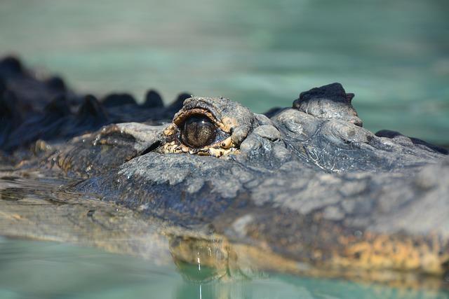 Crocodiles as Indicators of Climate Change in Africa