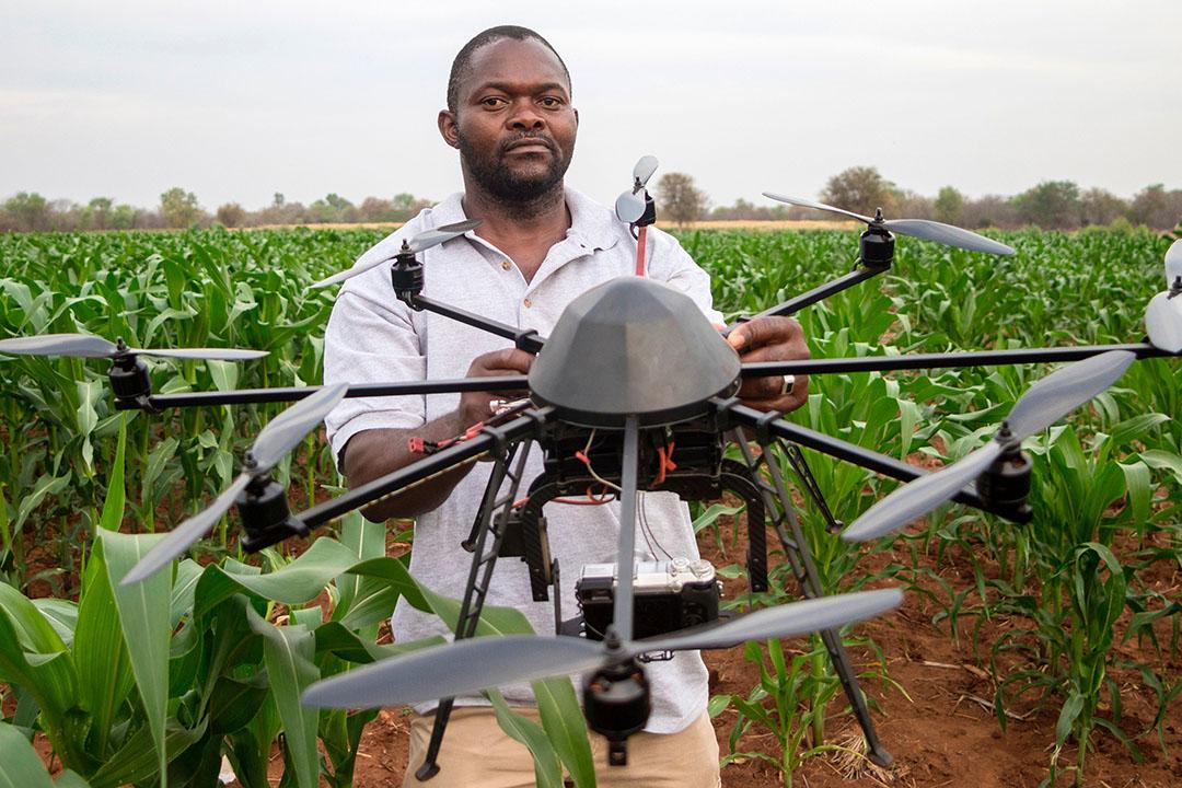 The Role of Innovation in Agricultural Development