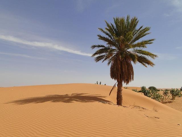 Mauritania's Diplomatic relations Strengthened through Private Visit to Rabat