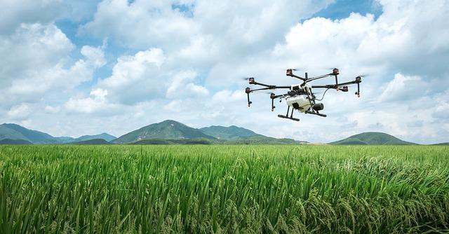 The Impact of Drones and Robotics on Modern Farming Practices