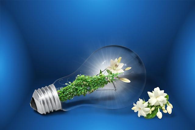 Collaborative Opportunities for Sustainable Energy Development in Africa