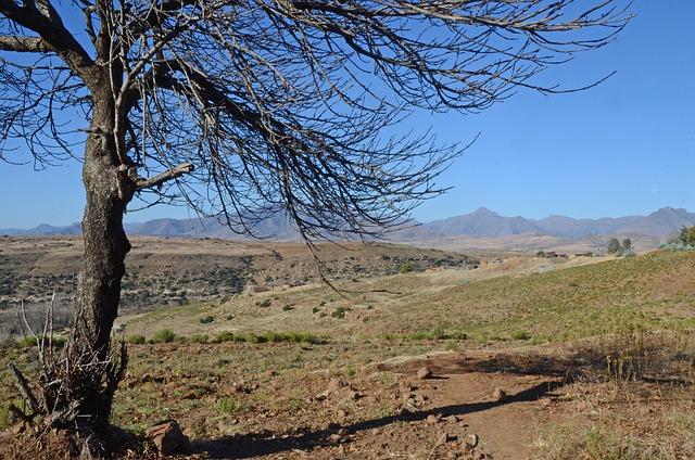 cultural and ‍Economic​ resilience ⁢of Lesotho Amidst Global Misconceptions