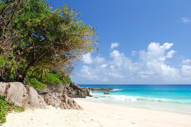 Discovering the Unique Microclimate of the seychelles Island