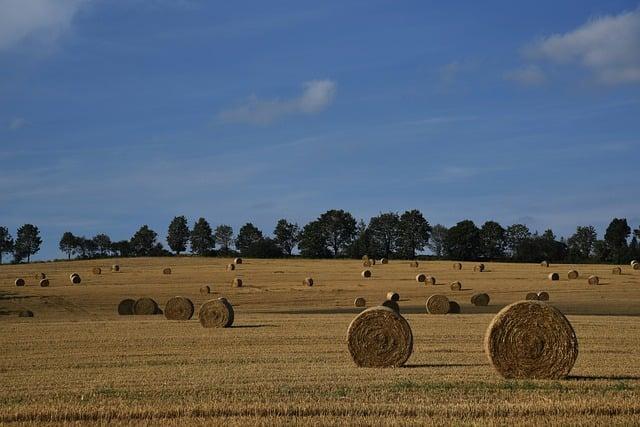 Recommendations for Sustainable Farming Practices and Support