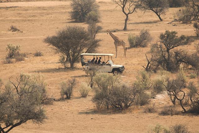 Conservation⁤ Efforts: Protecting⁣ Southern Africa's ⁤botanical Treasures