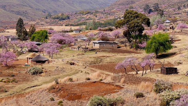 Implications for Diplomatic Relations Between Lesotho and the United States