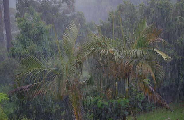 Above-normal rainfall forecast for Greater Horn of Africa for June to September – wmo.int