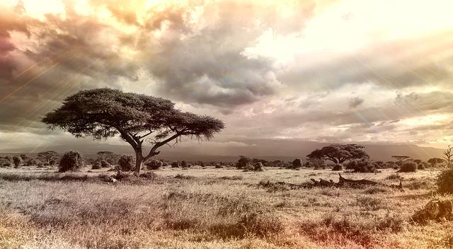 Silicon Savannah or Digital Debt Trap? Unpacking Foreign Tech in Sub-Saharan Africa – Georgetown Security Studies Review