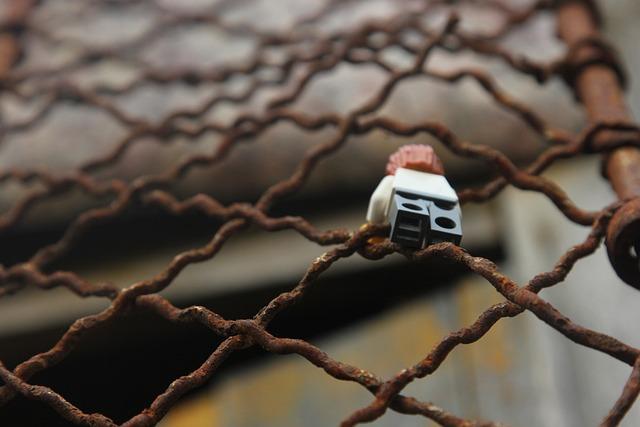 Dozens escape from jail in Comoros capital – Reuters