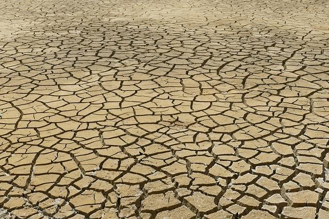 Impact of Climate Change on Agricultural Production and Pricing in the Region