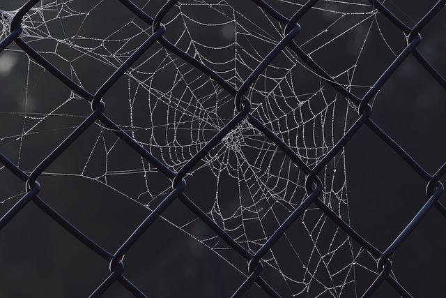 e& Joins Aduna to Expand Network API Innovation Across 20 Countries at MWC25 – https://www.techafricanews.com/