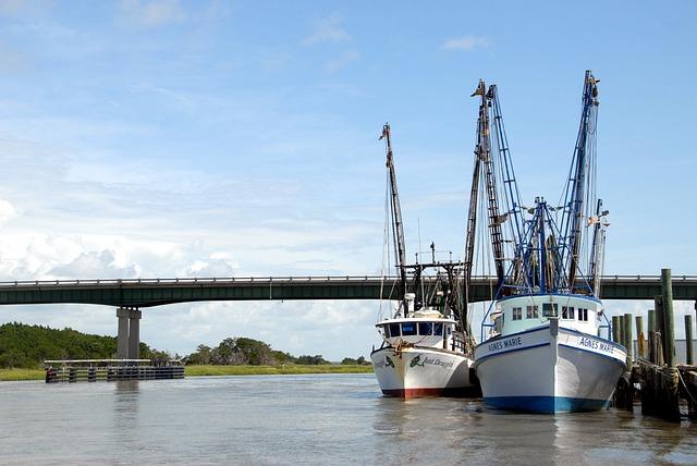 Concerns Rise Among Artisanal ⁣Fishers ⁣as Liberia Embraces Industrial ‍Shrimp Fishing