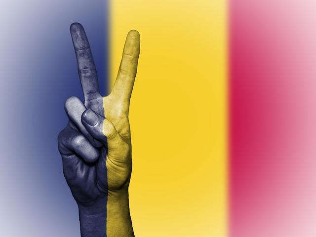 International Reactions and Implications for Chad's Future Governance