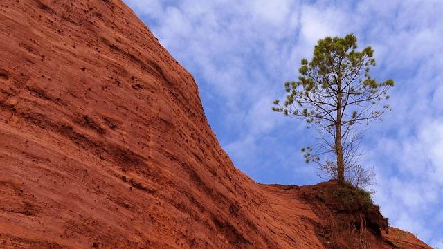 Understanding the Social Dynamics of Ochre Communities