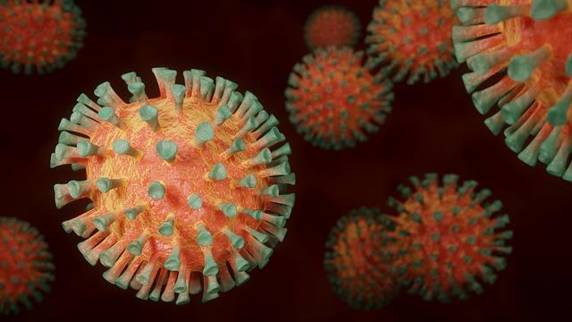 Understanding the mpox Virus: Symptoms and Transmission Dynamics