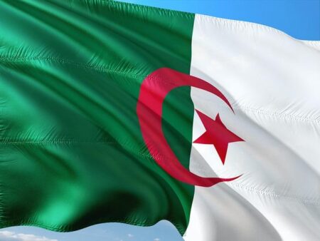 Algeria Condidature for AU Vice-Chair : Commitment to African Unity and Progress – AL24 News