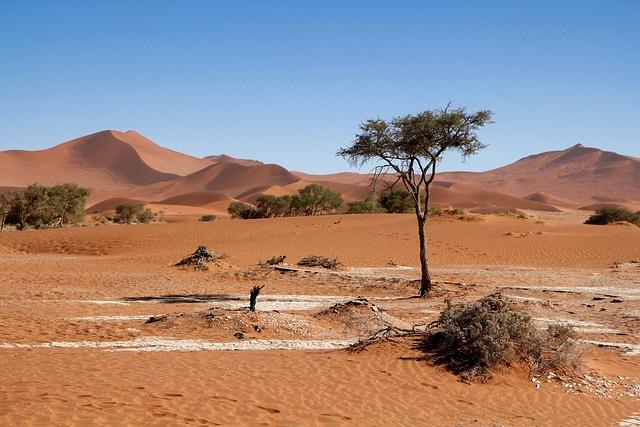 Future Challenges and Opportunities for Leadership in Namibia