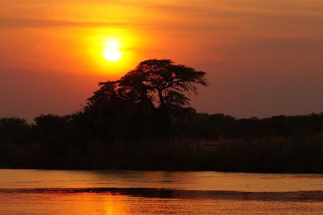 Botswana and the Europeans recently had a spat regarding elephants. What was it all about? – Down To Earth Magazine