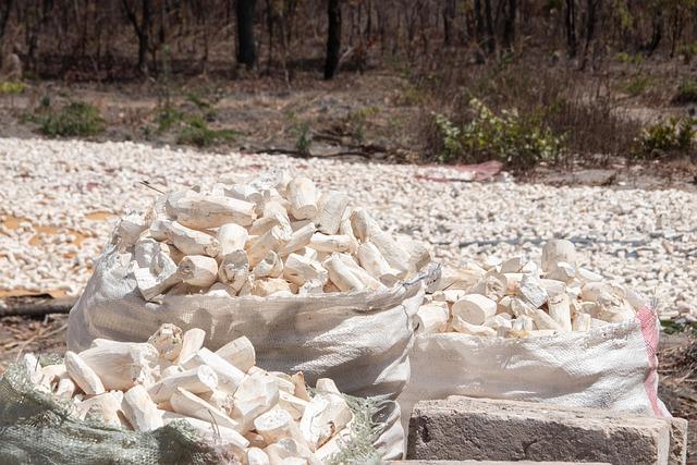 Understanding Zambia's‌ Cardiovascular crisis ​and⁣ its⁤ Causes