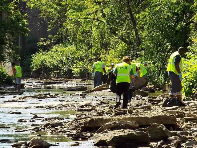 Impact of Community Cleanup on Local Ecosystems and Public health