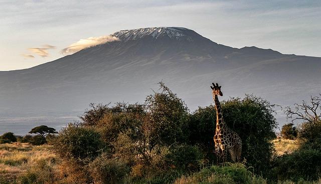 Mt Kilimanjaro's Glacial ⁢melt: A Climate Crisis Unfolding