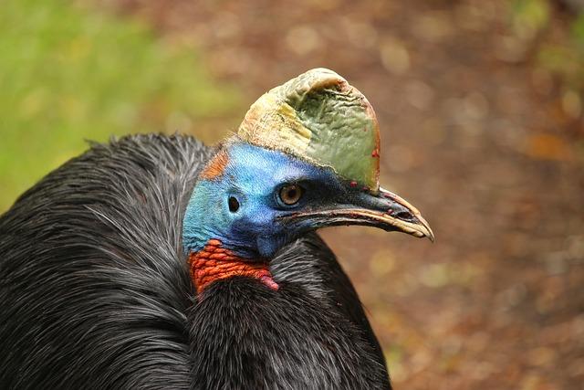 Exploring the Rich Cultural ​Tapestry of Papua New Guinea