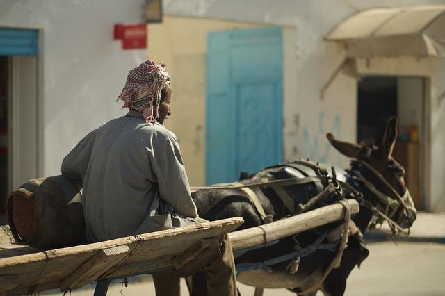 Tunisia is the sick man of North Africa - cidob.org