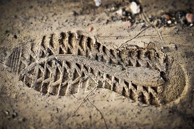 Fossil footprints in Kenya show two ancient human species coexisted – Reuters