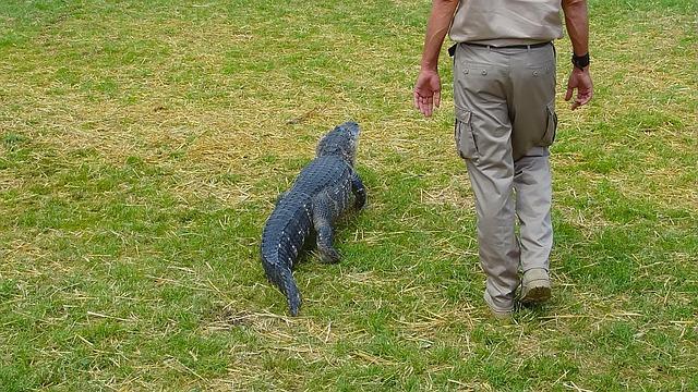 Trained to stop poaching, Benin park rangers instead face jihadists – Mongabay.com